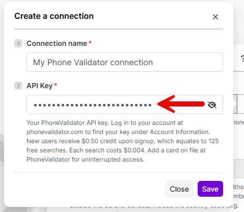 API Key input field